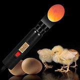 Bright Cool LED Light Egg Candler Tester - Incubator Warehouse Exclusive