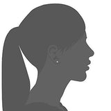 Besteel Womens Stainless Steel Stud Earrings Set Hypoallergenic Pierced Cubic 6