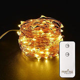 Fairy Lights- LED string lights with remote and timer (60 LEDs)