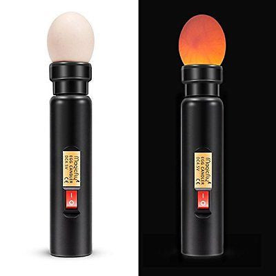 Bright Cool LED Light Egg Candler Tester - Incubator Warehouse Exclusive