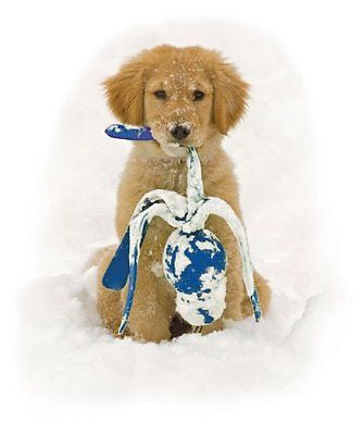 NEW KONG Wet Wubba Dog Toy,Large,Colors May Vary
