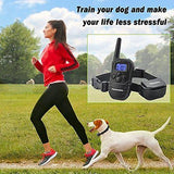 Petronics Rechargeable Shock Training Collar,for Large Dog with Static Shock,