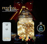 Fairy Lights- LED string lights with remote and timer (60 LEDs)