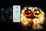 Fairy Lights, LED string lights with Remote and Timer (100 LED) 33ft