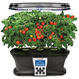 Miracle-Gro AeroGarden Red Heirloom Cherry Tomato Seed Pod Kit (7-Pod)