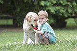 KONG Classic KONG Dog Toy, Small, Red