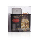Fairy Lights- LED string lights with remote and timer (60 LEDs)