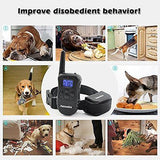 Petronics Rechargeable Shock Training Collar,for Large Dog with Static Shock,