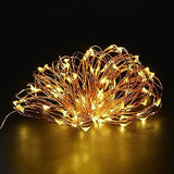 Fairy Lights- LED string lights with remote and timer (60 LEDs)
