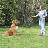 Petrainer Dog Training Collar Rechargeable and330 yd Remote Dog Shock Collar