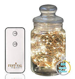 Fairy Lights, LED string lights with Remote and Timer (100 LED) 33ft