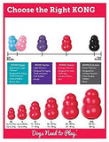 KONG Classic KONG Dog Toy, Small, Red