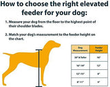 OurPets Healthy Pet Diner Elevated Feeder, Black, 8 Inches