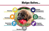 KONG Classic KONG Dog Toy, Small, Red
