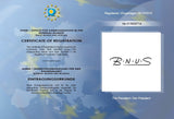 BNUS Italy made Classic Sunglasses Corning Real Glass Lens w. Polarized Option Frame: Transparent / Lens: Blue Flash
