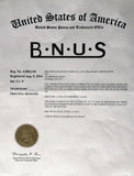 BNUS Italy made Classic Sunglasses Corning Real Glass Lens w. Polarized Option Frame: Black / Lens: Magenta Flash